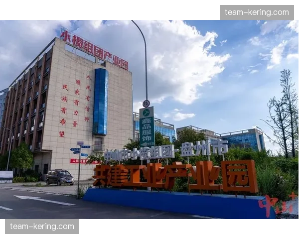 从单点优化到链路整合 产业协作半径向外延伸